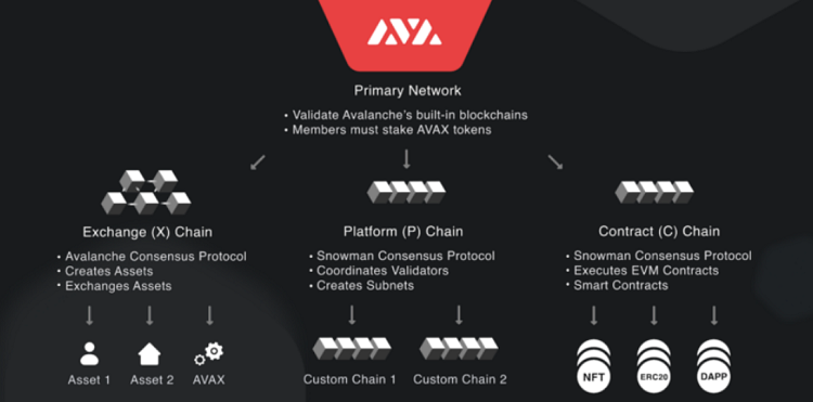 What is AVAX Coin? Learn About the Avalanche Project