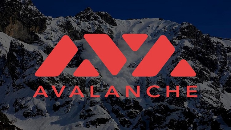 What is AVAX Coin? Everything You Need to Know About the Avalanche Ecosystem