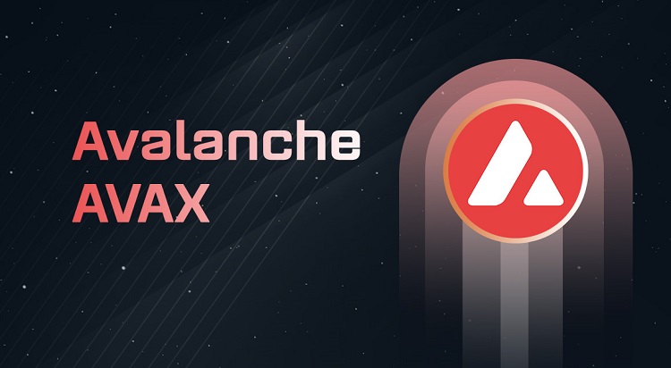 Discover What is AVAX Coin? Information About Avalanche