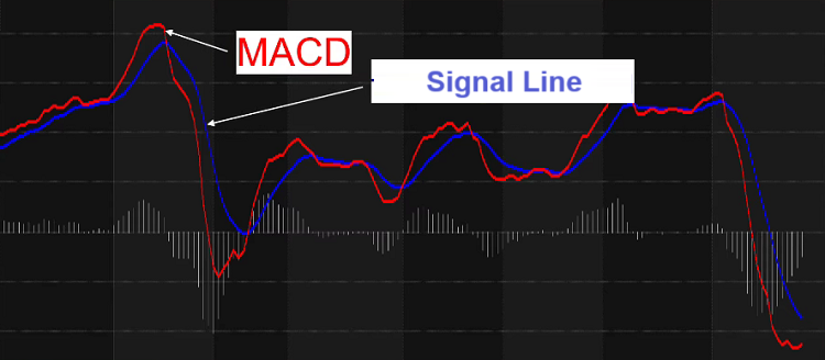 Structure of the MACD Indicator