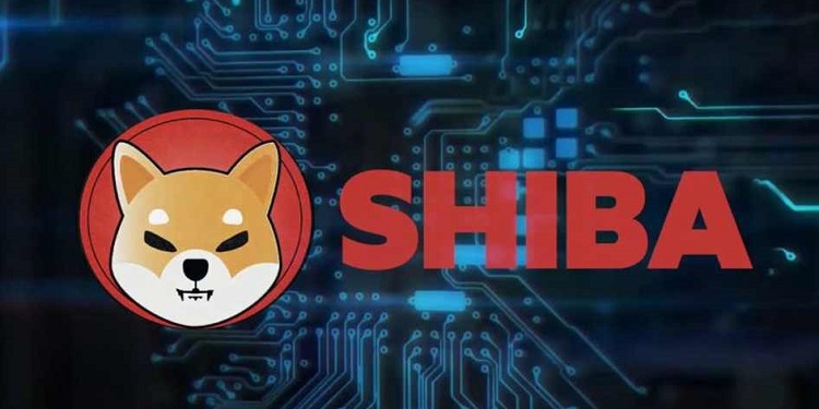 What is SHIB coin? Shiba Inu Coin is a beloved meme coin