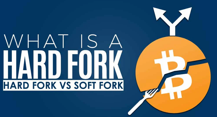 What is a Hard Fork coin?