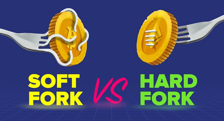 What is a Hard Fork? Comparing Hard Fork and Soft Fork