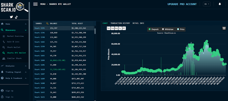 What is On-Chain? Interface of Sharkscan