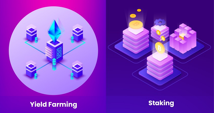 Comparing Yield Farming and Staking