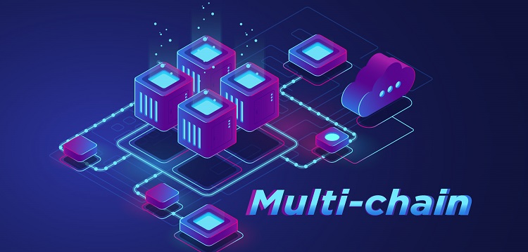 Is Multi-chain promising?