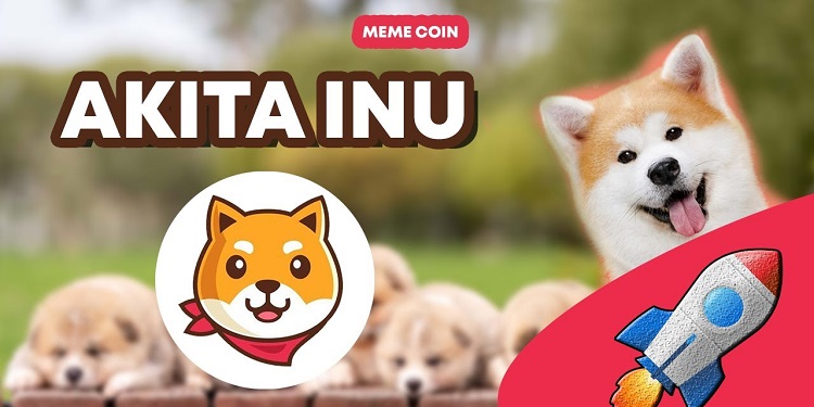 Best meme coin to invest. Akita Inu