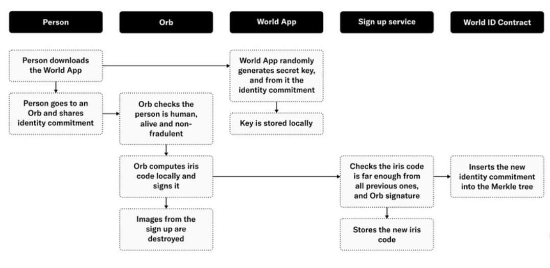 How Worldcoin works?