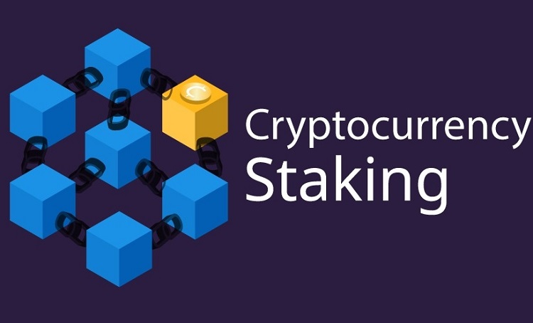 Common Mistakes to avoid in staking crypto