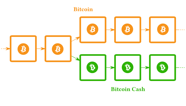 What is Bitcoin Cash BCH. Compare BTC with BCH