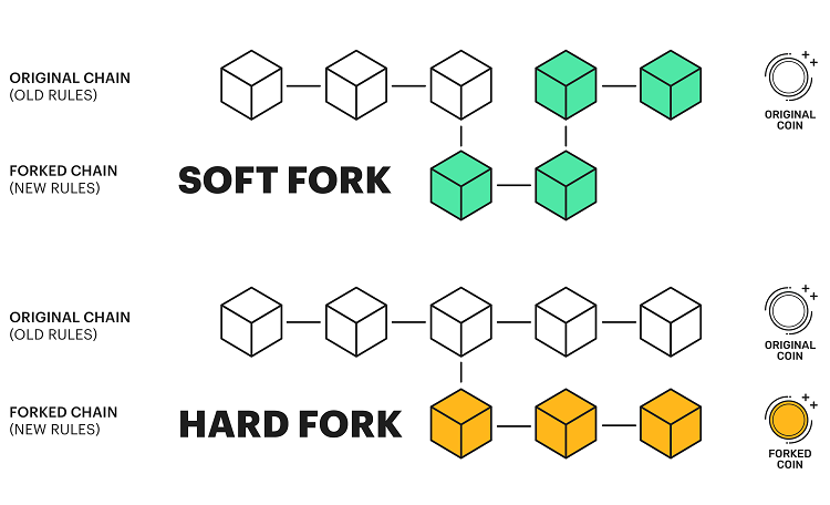 What is bitcoin fork? difference between hard fork and soft fork